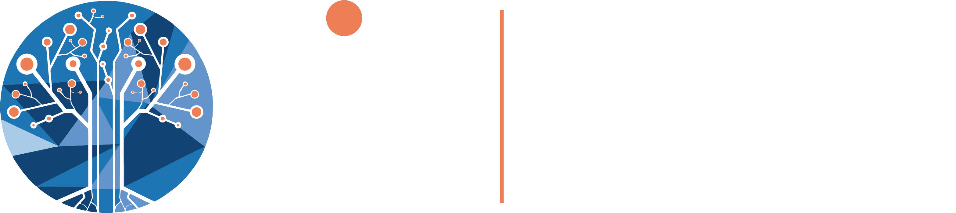 RIT Logo