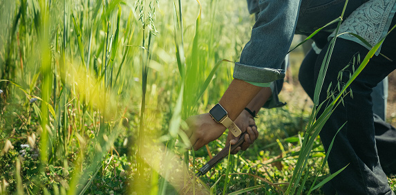 transdisciplinary tab